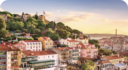 Most Popular Options