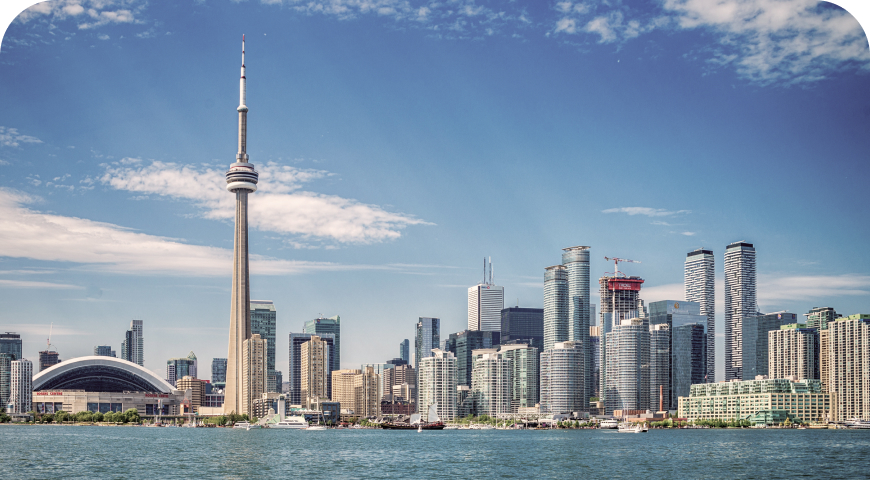 Most Popular Options